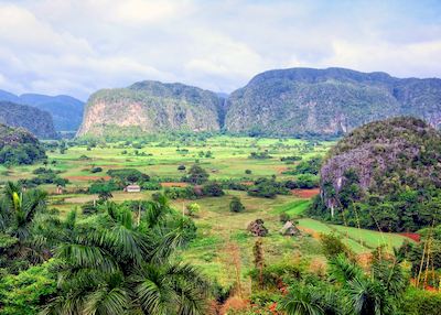 Viñales