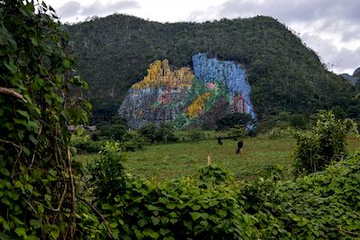 Accommodation in Cuba. Rent a casa particular.