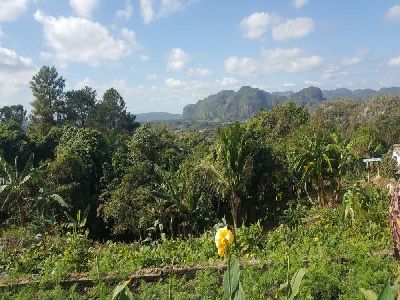 Viñales Traditions Festival: for sustainable community tourism.